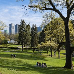High Park Toronto
