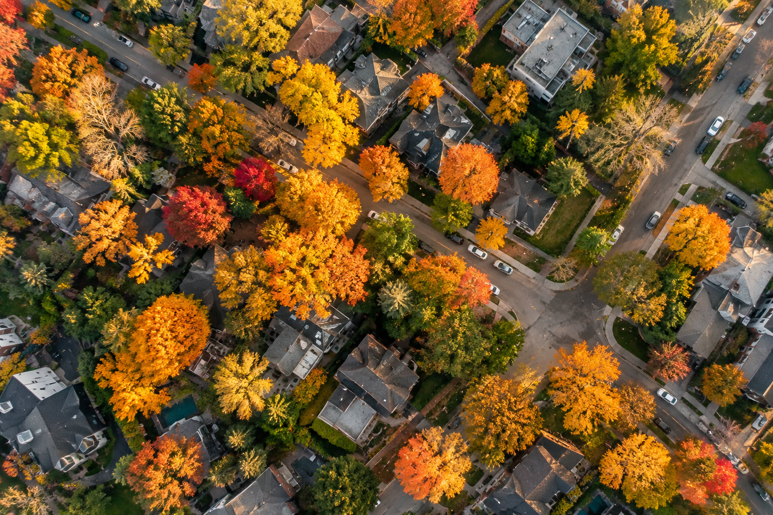What Makes a Neighbourhood Livable?